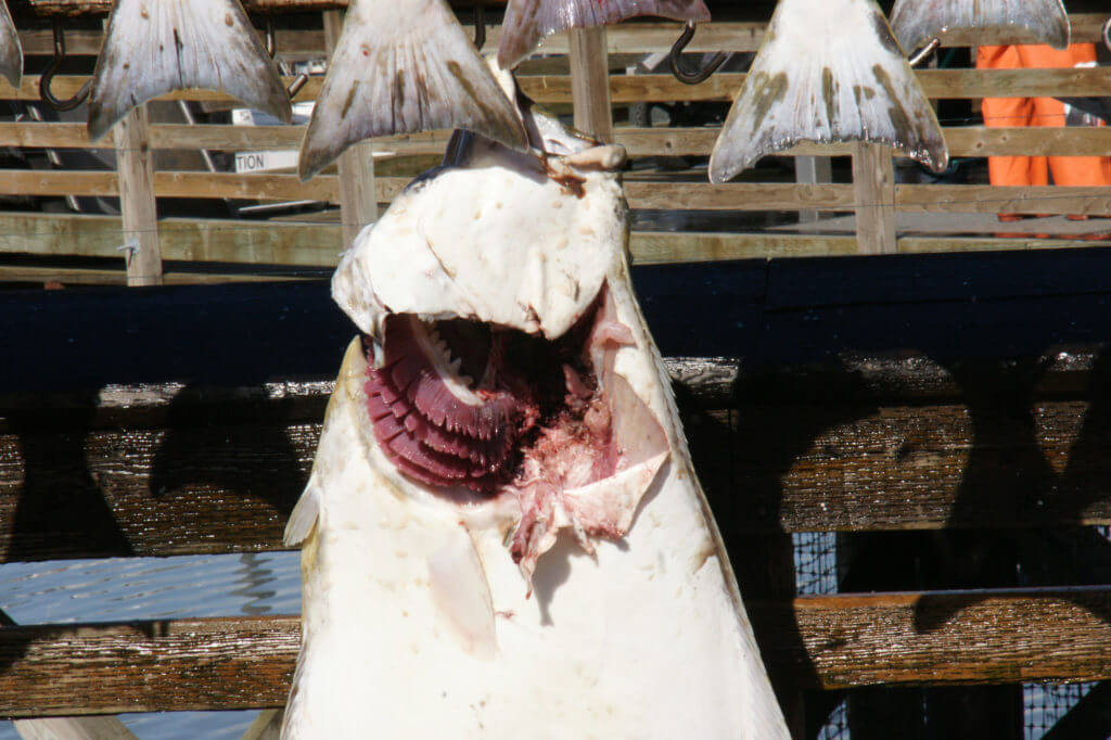 fishing tours in seward alaska