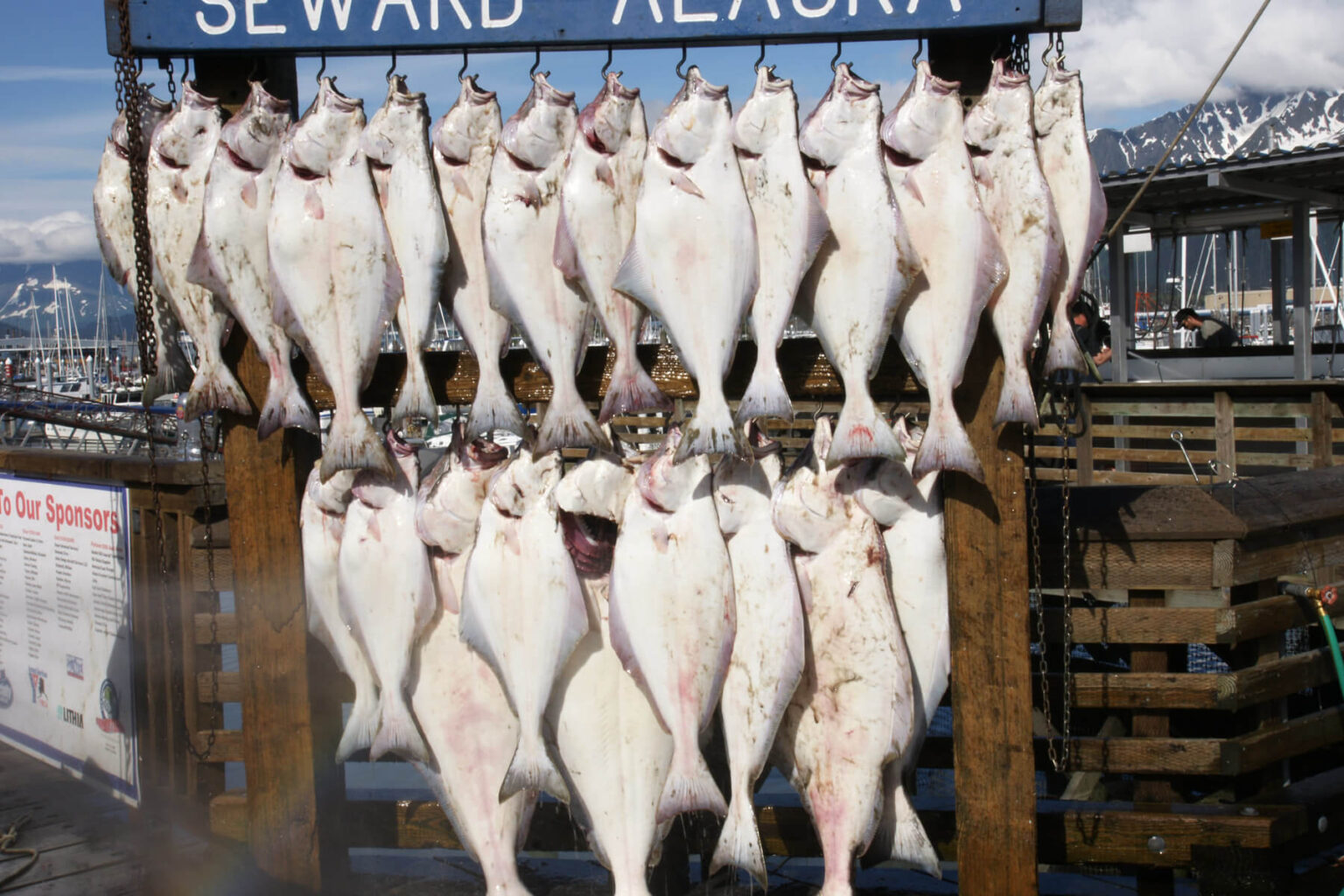 The Fish House Seward Alaska Saltwater Fishing