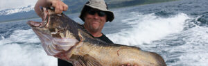 fishing tours in seward alaska