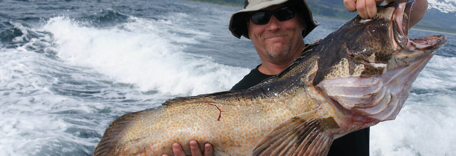 Fishing charters, species & seasons