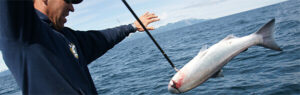 fishing tours in seward alaska